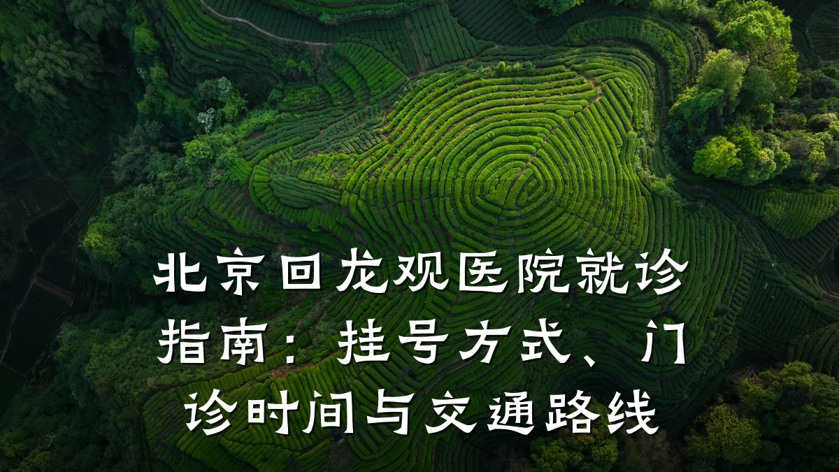 北京回龙观医院就诊指南：挂号方式、门诊时间与交通路线