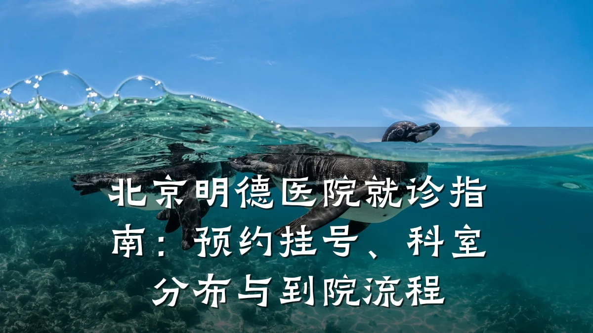 北京明德医院就诊指南:预约挂号、科室分布与到院流程