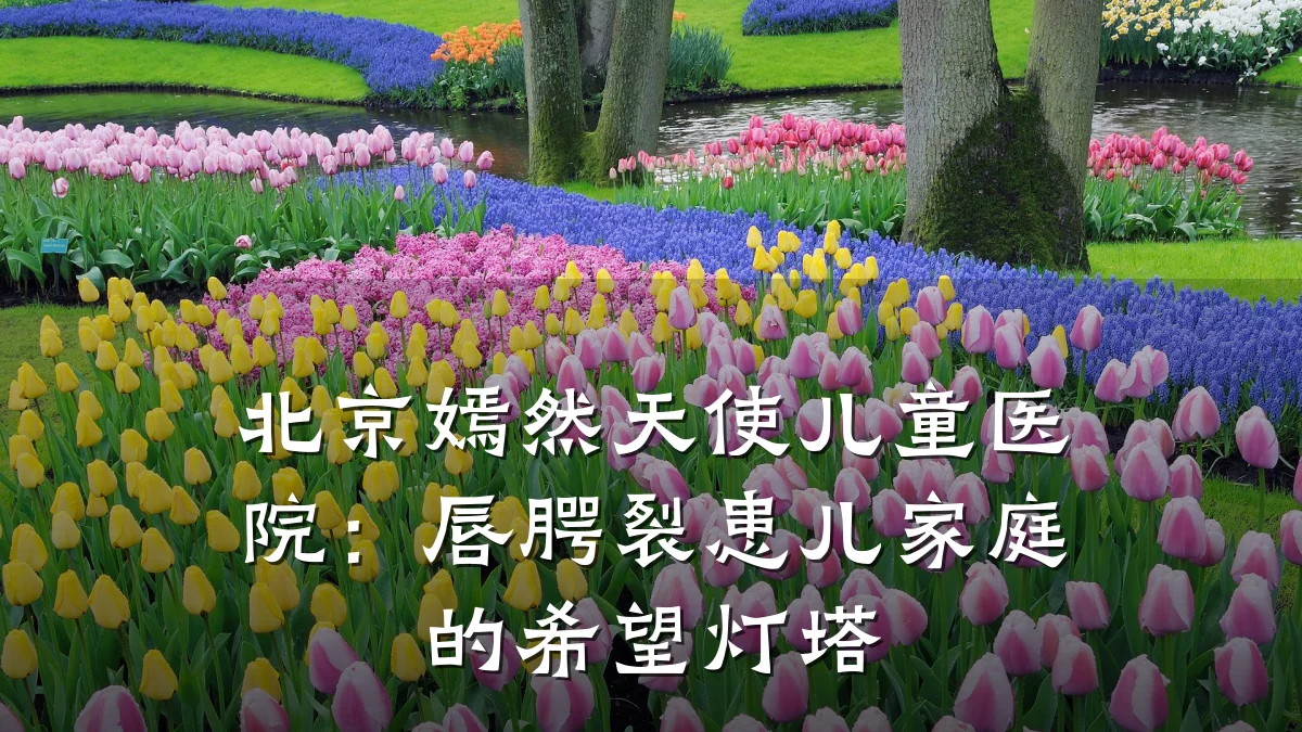 北京嫣然天使儿童医院:唇腭裂患儿家庭的希望灯塔