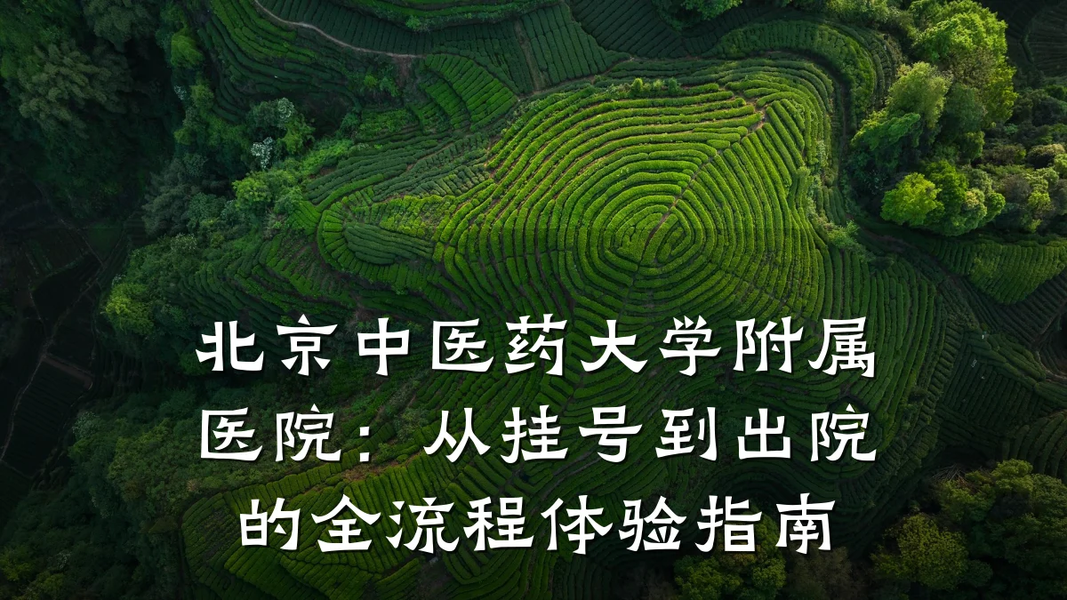 北京中医药大学附属医院：从挂号到出院的全流程体验指南