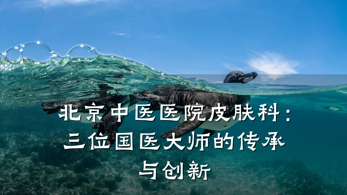 北京中医医院皮肤科：三位国医大师的传承与创新