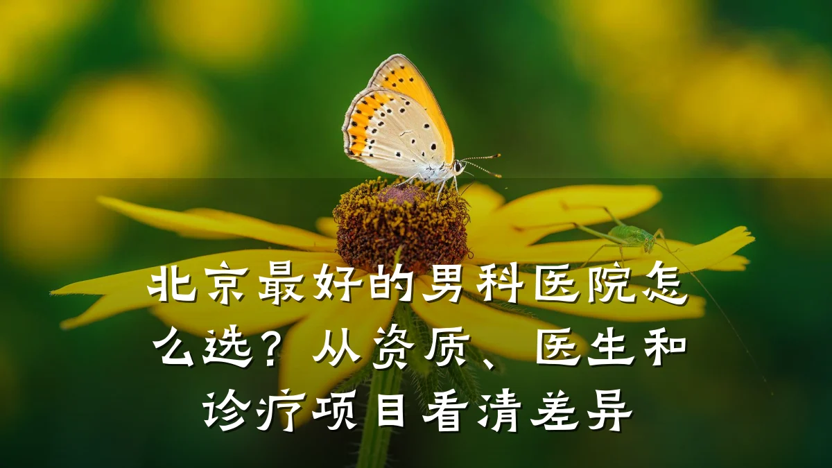 北京最好的男科医院怎么选？从资质、医生和诊疗项目看清差异