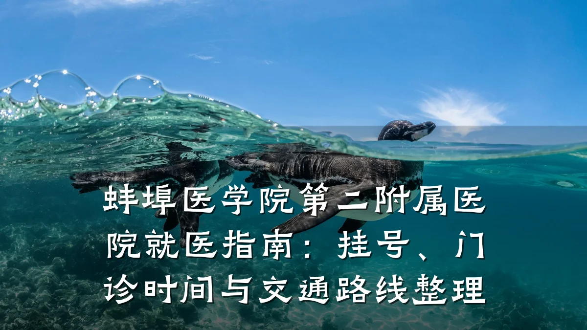 蚌埠医学院第二附属医院就医指南：挂号、门诊时间与交通路线整理