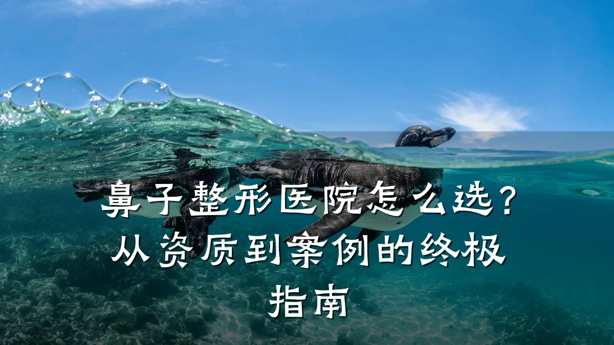 鼻子整形医院怎么选？从资质到案例的终极指南