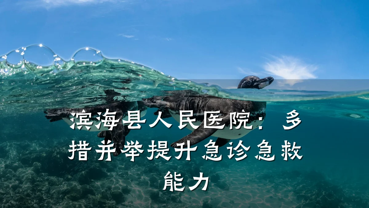 滨海县人民医院:多措并举提升急诊急救能力