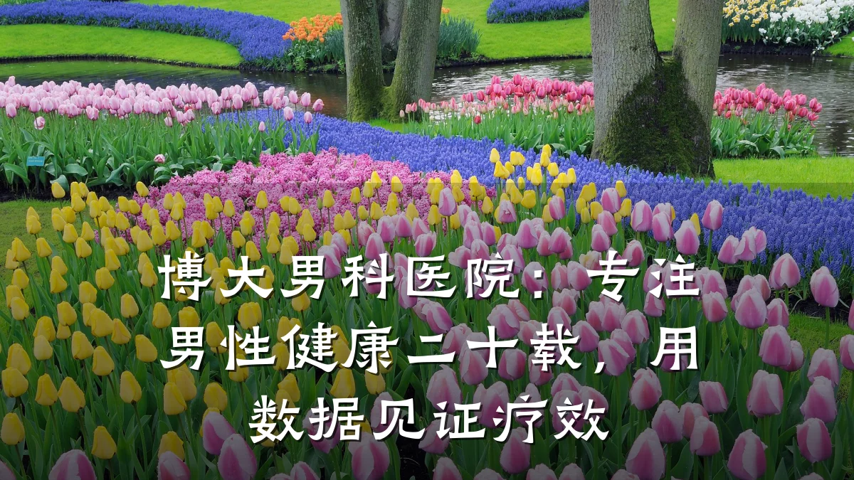 博大男科医院：专注男性健康二十载，用数据见证疗效