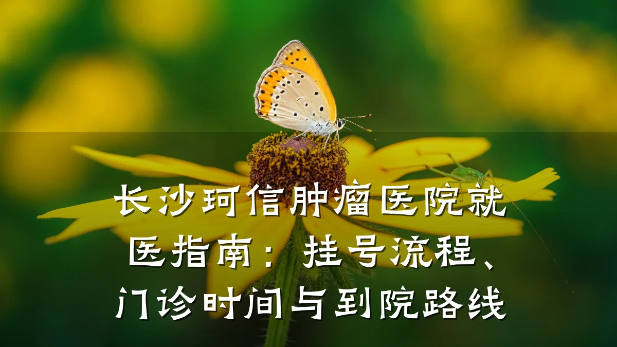 长沙珂信肿瘤医院就医指南：挂号流程、门诊时间与到院路线