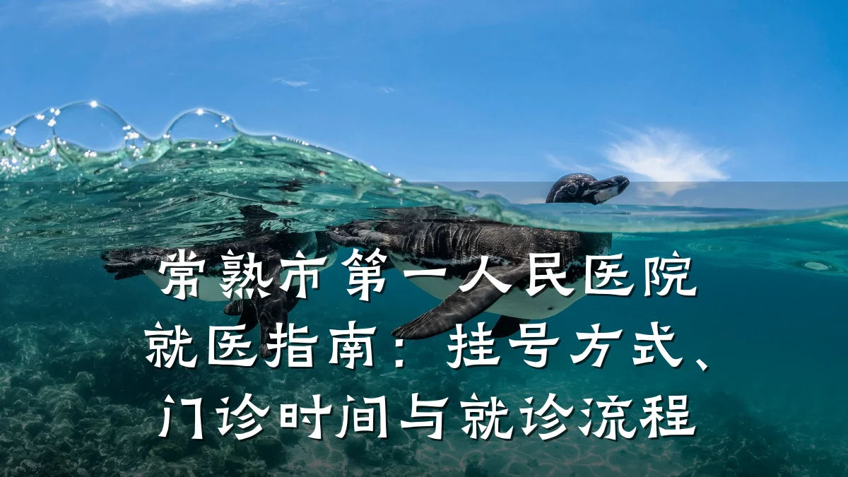 常熟市第一人民医院就医指南：挂号方式、门诊时间与就诊流程