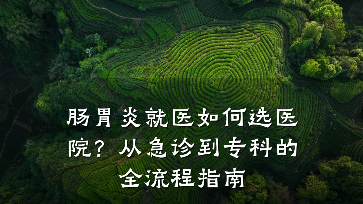 肠胃炎就医如何选医院?从急诊到专科的全流程指南