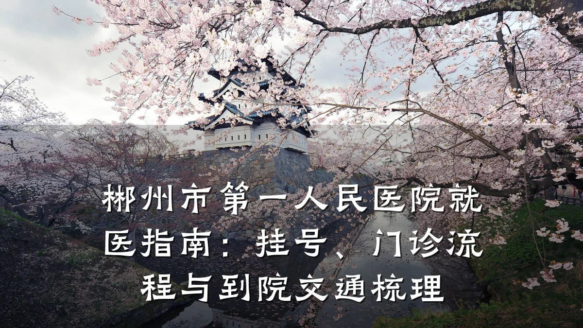 郴州市第一人民医院就医指南：挂号、门诊流程与到院交通梳理