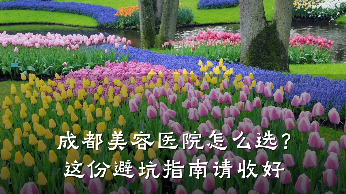 成都美容医院怎么选?这份避坑指南请收好