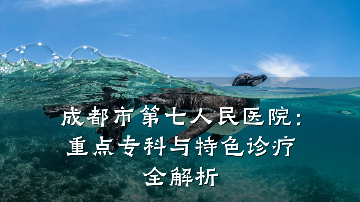 成都市第七人民医院:重点专科与特色诊疗全解析