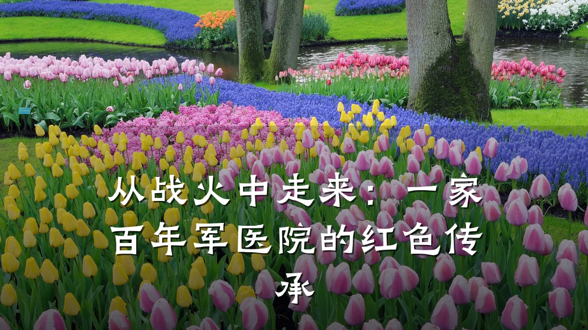 从战火中走来：一家百年军医院的红色传承