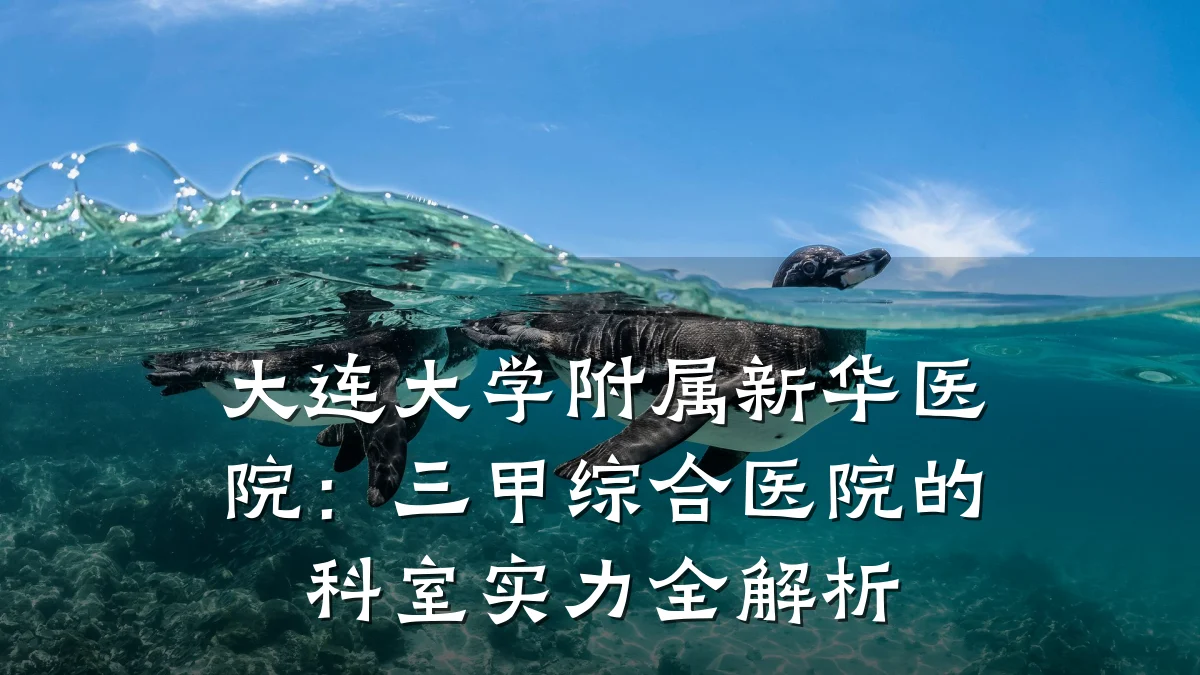 大连大学附属新华医院：三甲综合医院的科室实力全解析