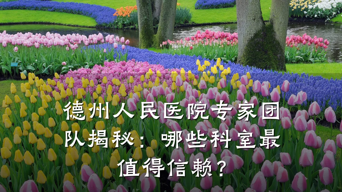 德州人民医院专家团队揭秘:哪些科室最值得信赖?