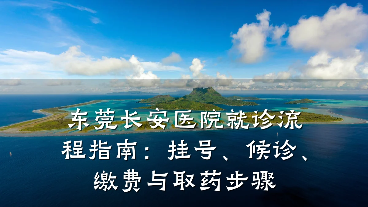 东莞长安医院就诊流程指南:挂号、候诊、缴费与取药步骤