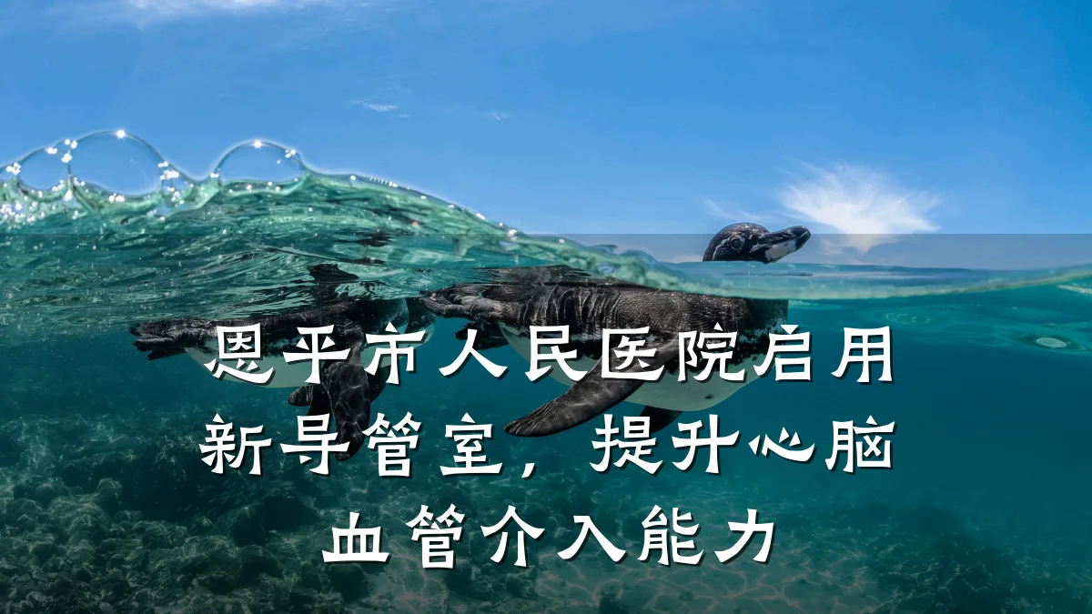 恩平市人民医院启用新导管室,提升心脑血管介入能力