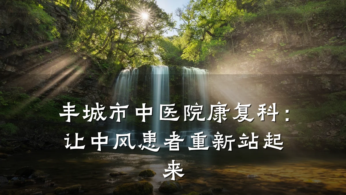 丰城市中医院康复科:让中风患者重新站起来