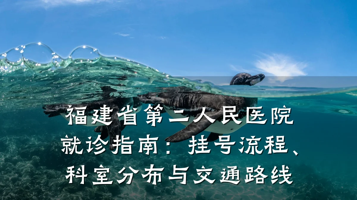 福建省第二人民医院就诊指南：挂号流程、科室分布与交通路线
