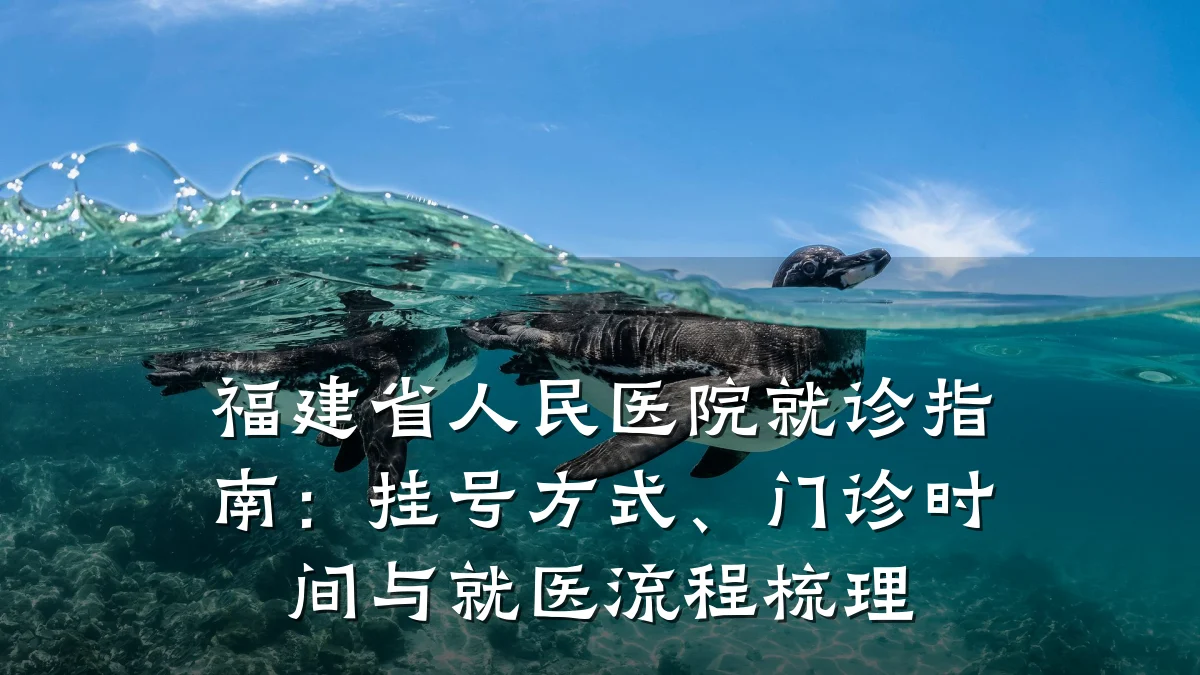 福建省人民医院就诊指南：挂号方式、门诊时间与就医流程梳理