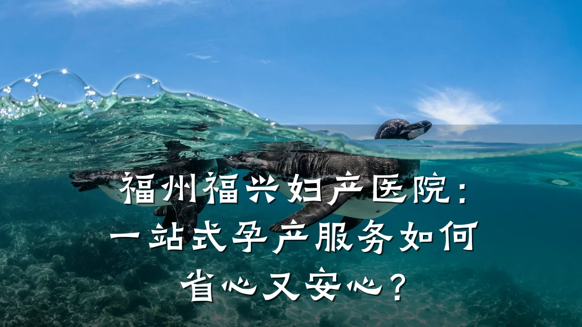 福州福兴妇产医院:一站式孕产服务如何省心又安心?