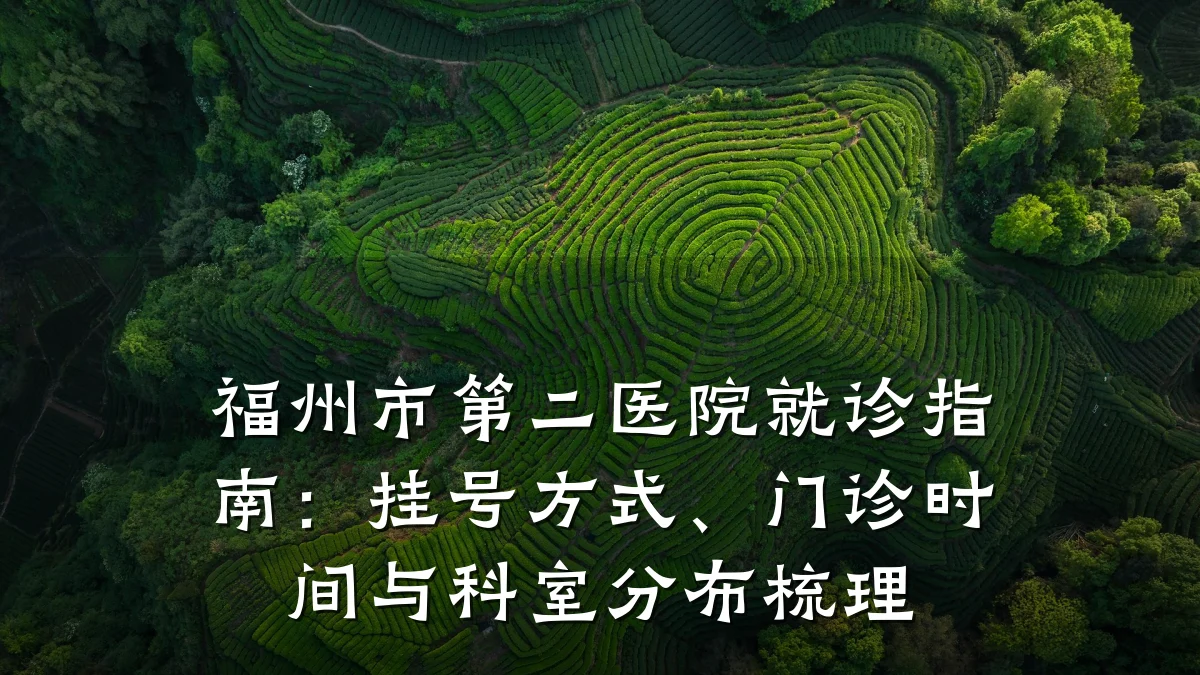 福州市第二医院就诊指南：挂号方式、门诊时间与科室分布梳理