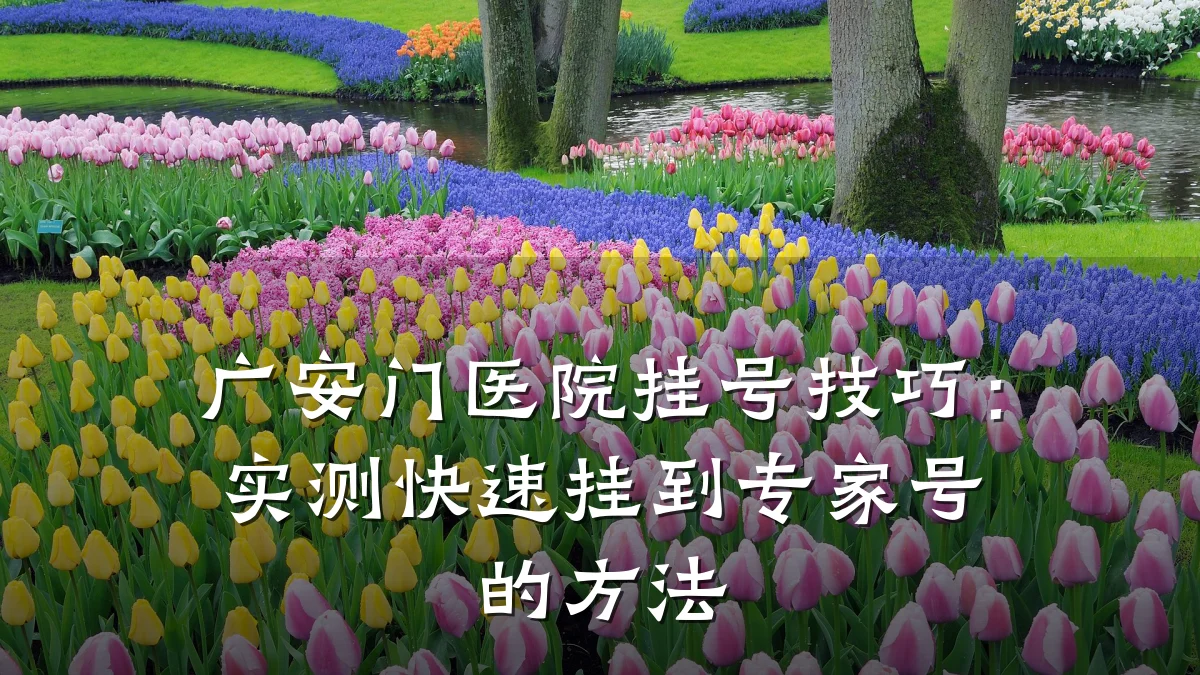 广安门医院挂号技巧:实测快速挂到专家号的方法