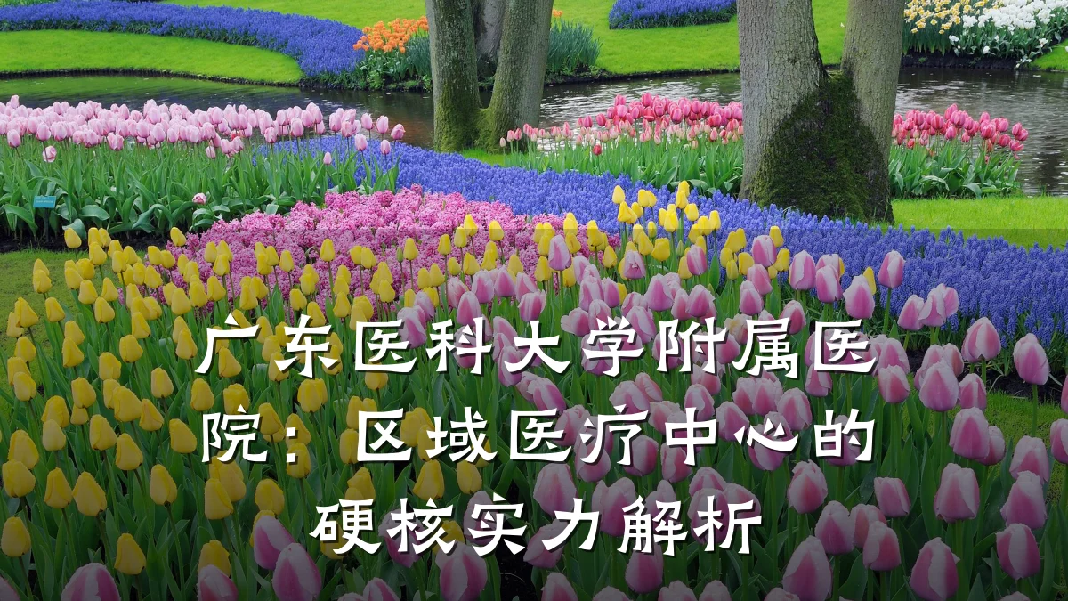 广东医科大学附属医院:区域医疗中心的硬核实力解析