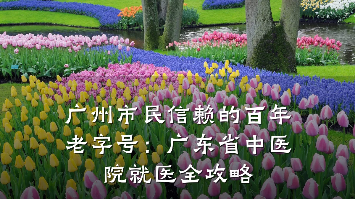 广州市民信赖的百年老字号:广东省中医院就医全攻略