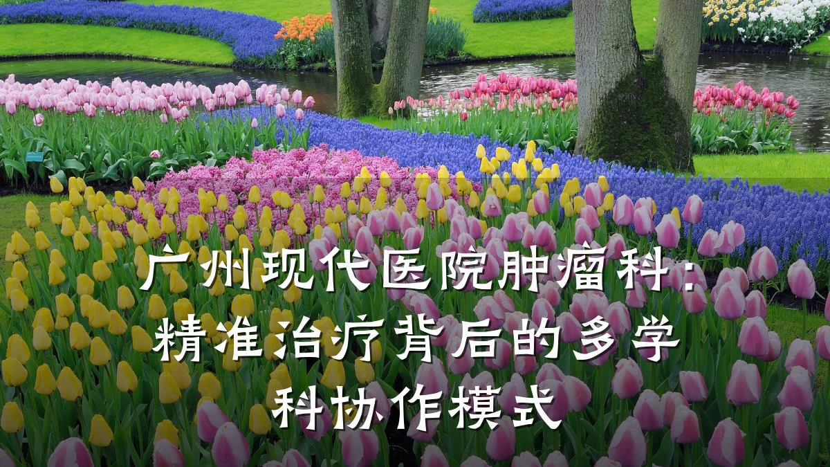 广州现代医院肿瘤科：精准治疗背后的多学科协作模式