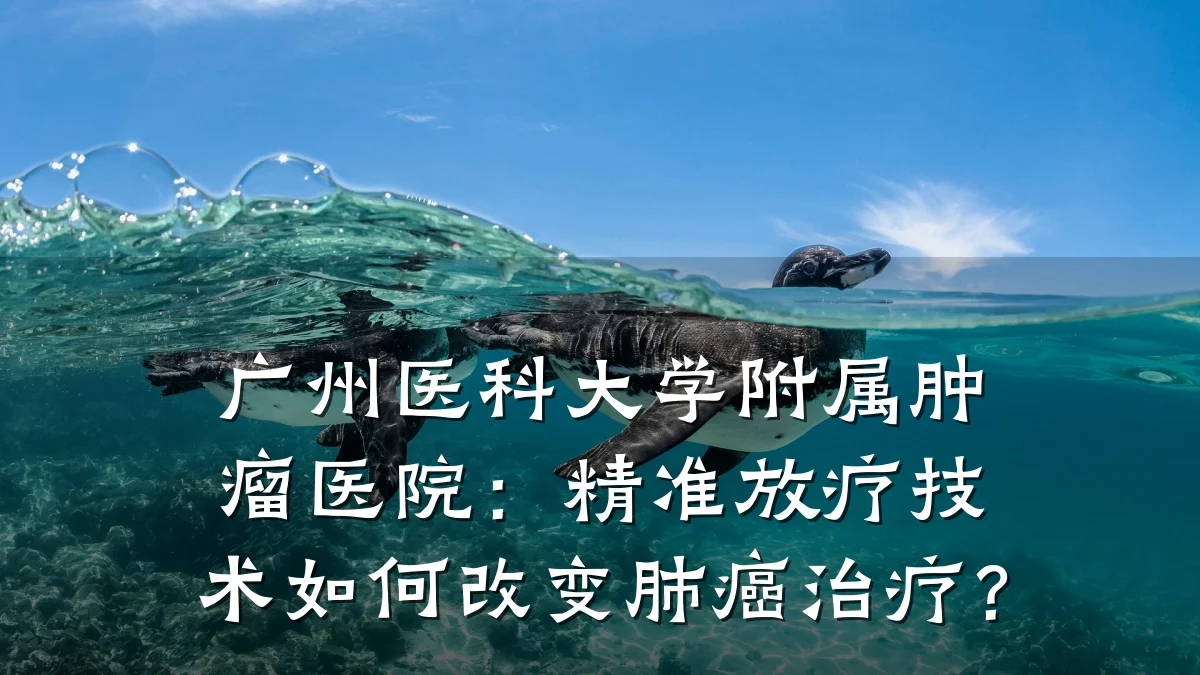 广州医科大学附属肿瘤医院：精准放疗技术如何改变肺癌治疗？