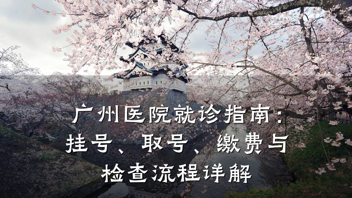 广州医院就诊指南：挂号、取号、缴费与检查流程详解