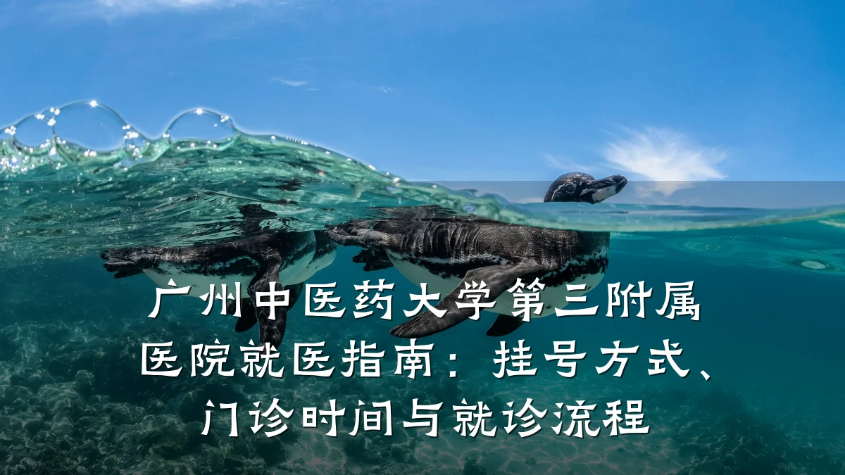 广州中医药大学第三附属医院就医指南：挂号方式、门诊时间与就诊流程