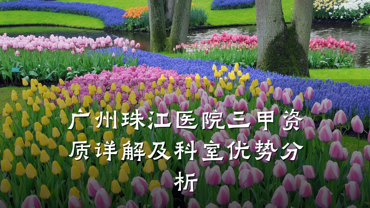 广州珠江医院三甲资质详解及科室优势分析