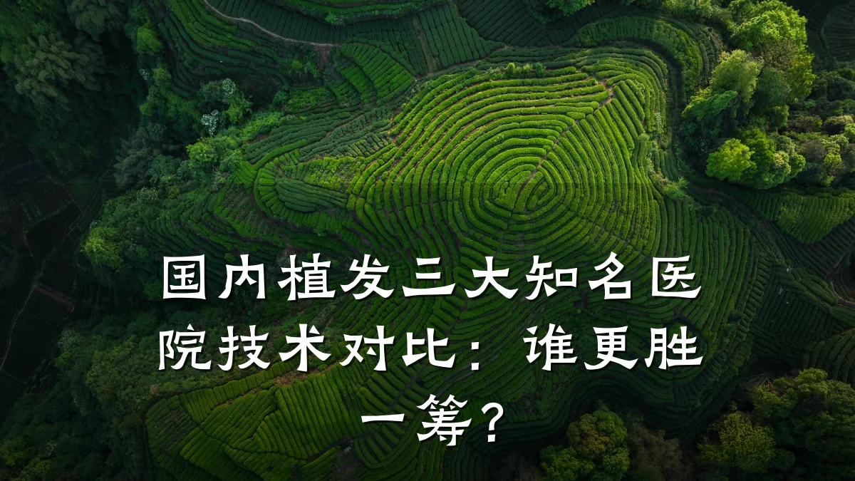 国内植发三大知名医院技术对比:谁更胜一筹?