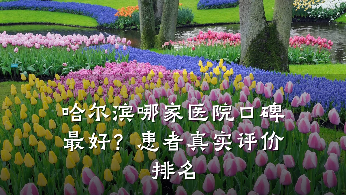 哈尔滨哪家医院口碑最好？患者真实评价排名