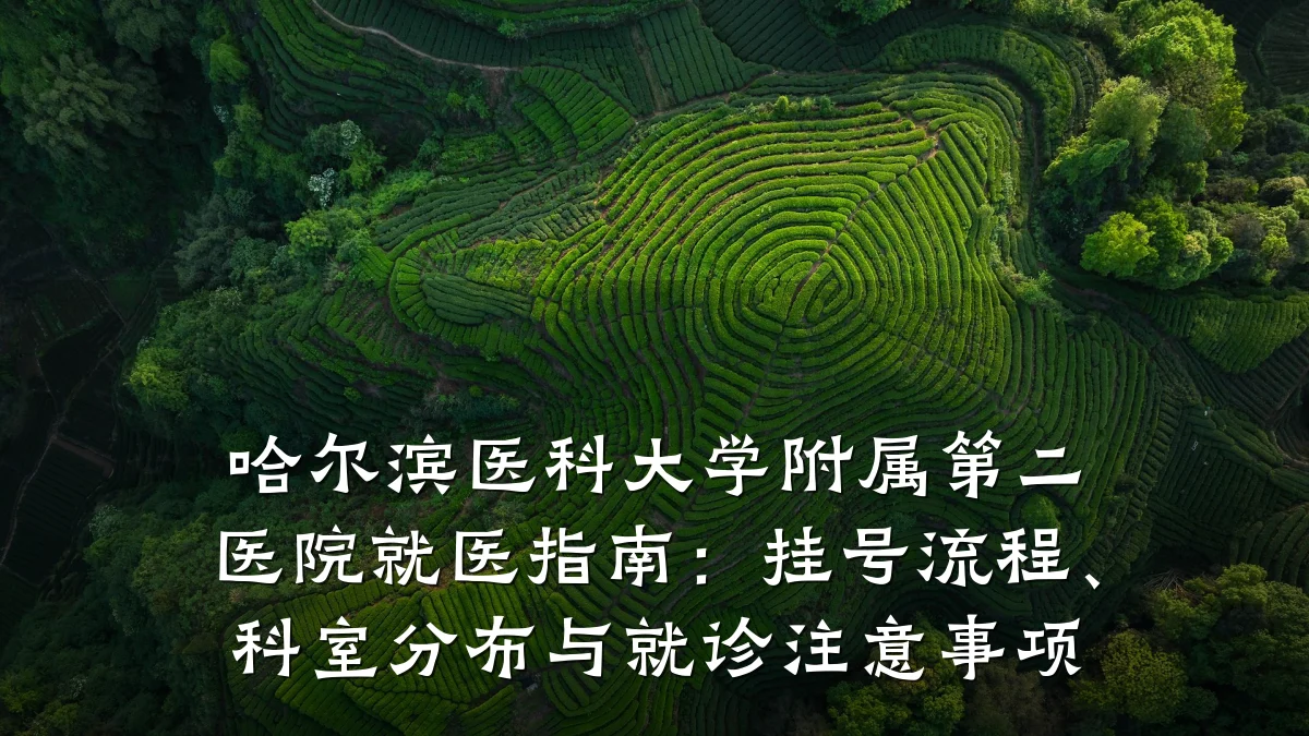 哈尔滨医科大学附属第二医院就医指南：挂号流程、科室分布与就诊注意事项