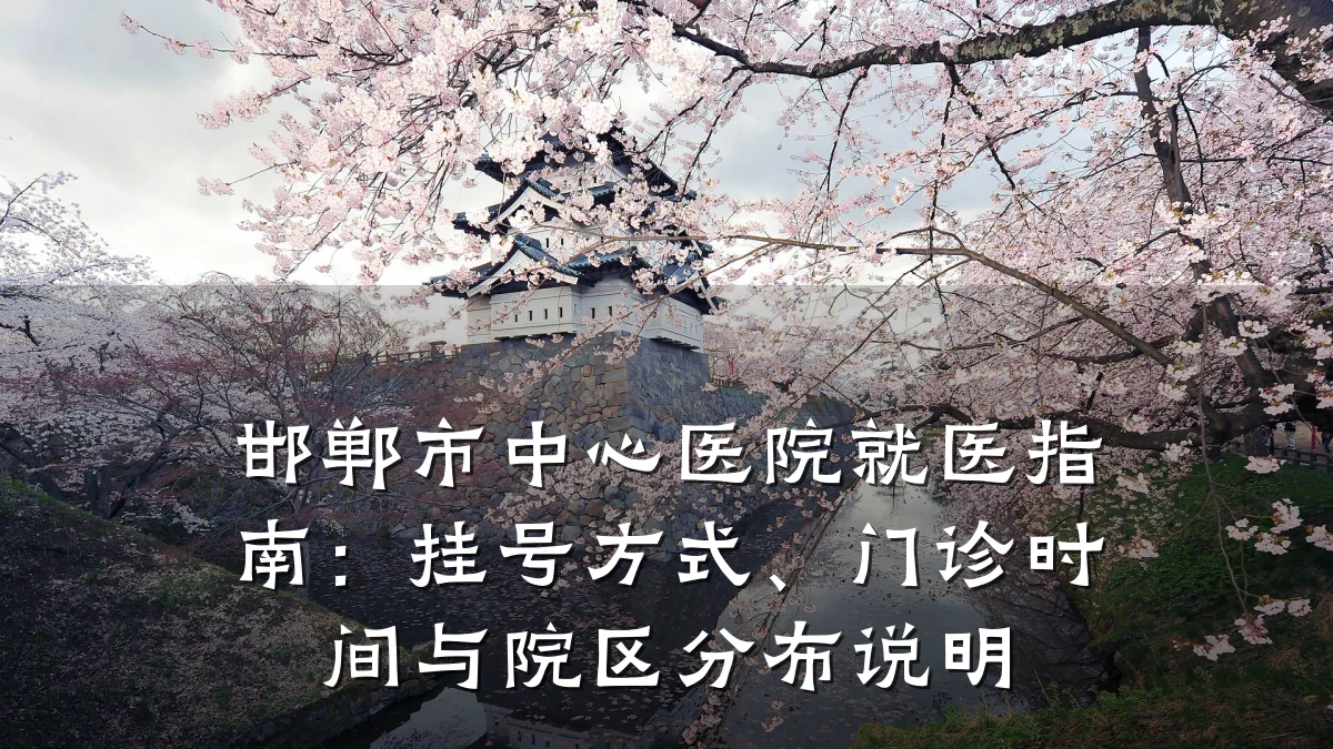 邯郸市中心医院就医指南：挂号方式、门诊时间与院区分布说明