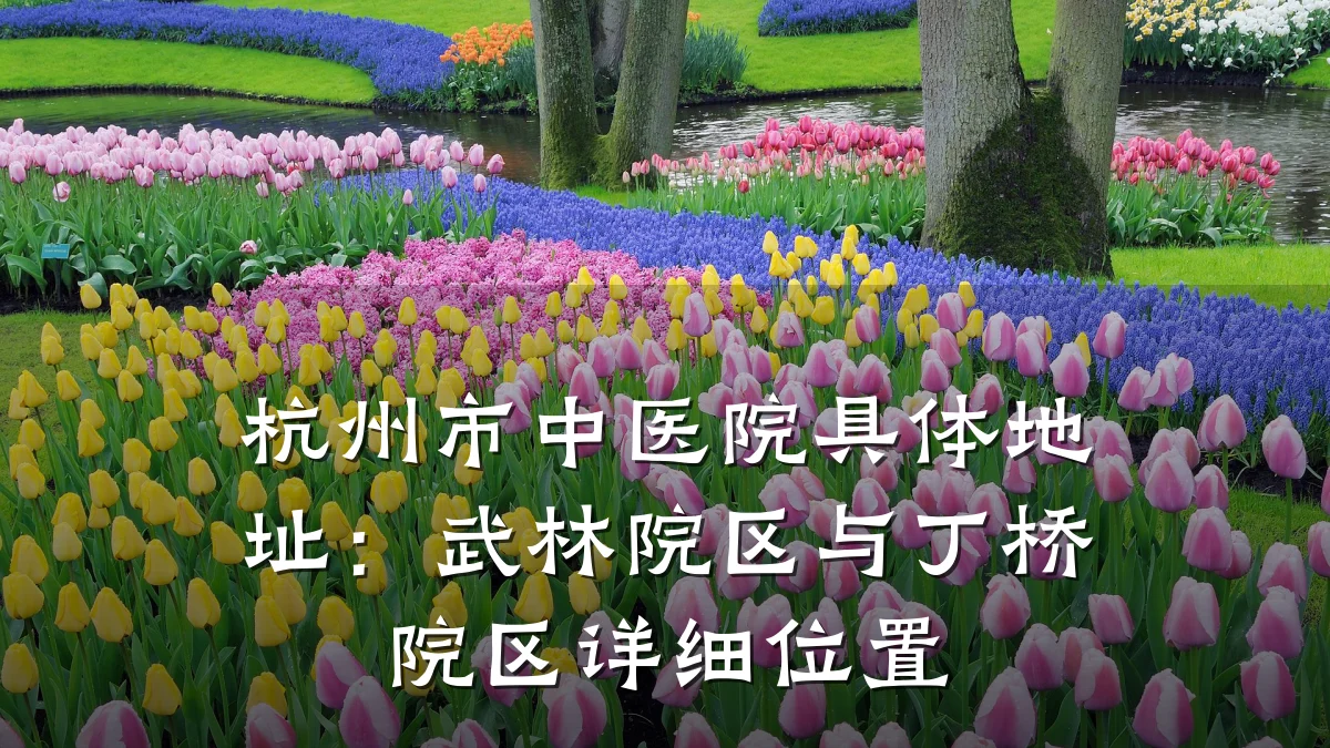 杭州市中医院具体地址：武林院区与丁桥院区详细位置