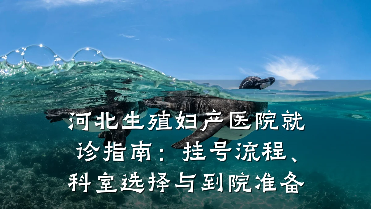 河北生殖妇产医院就诊指南：挂号流程、科室选择与到院准备