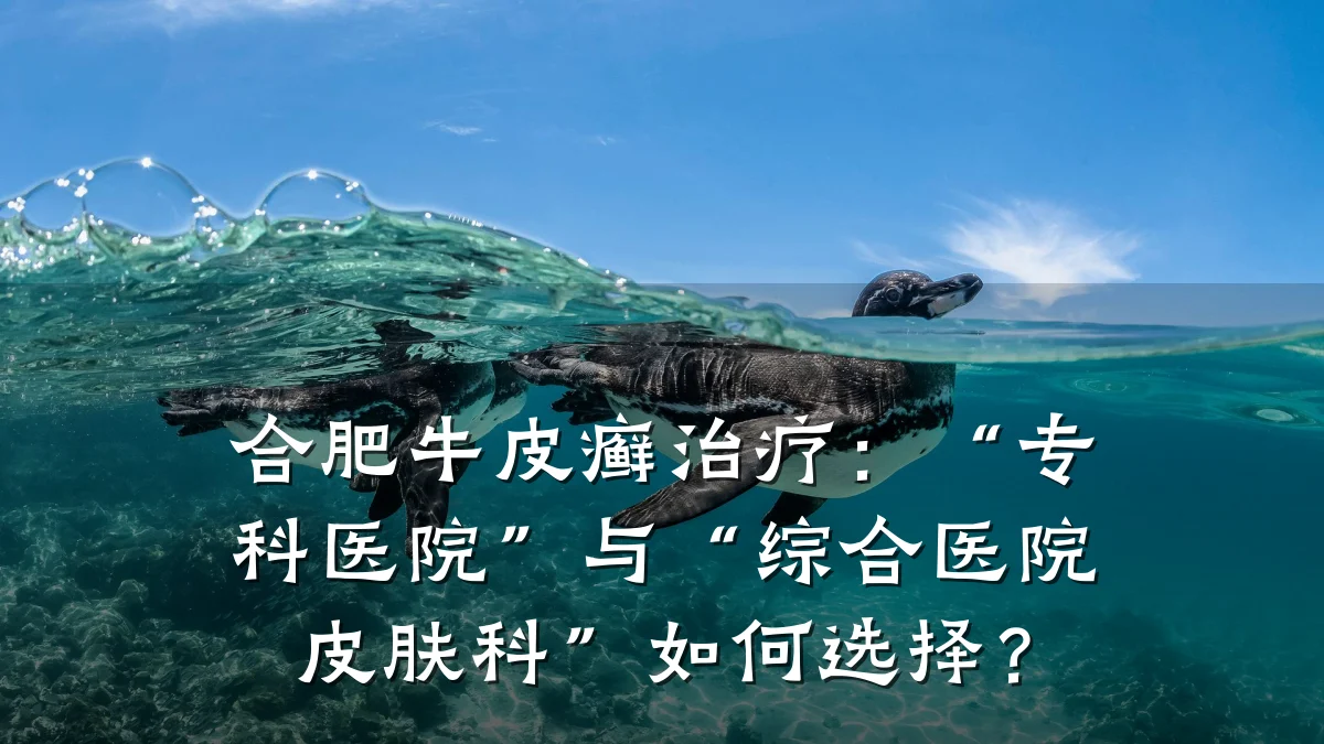 合肥牛皮癣治疗：“专科医院”与“综合医院皮肤科”如何选择？