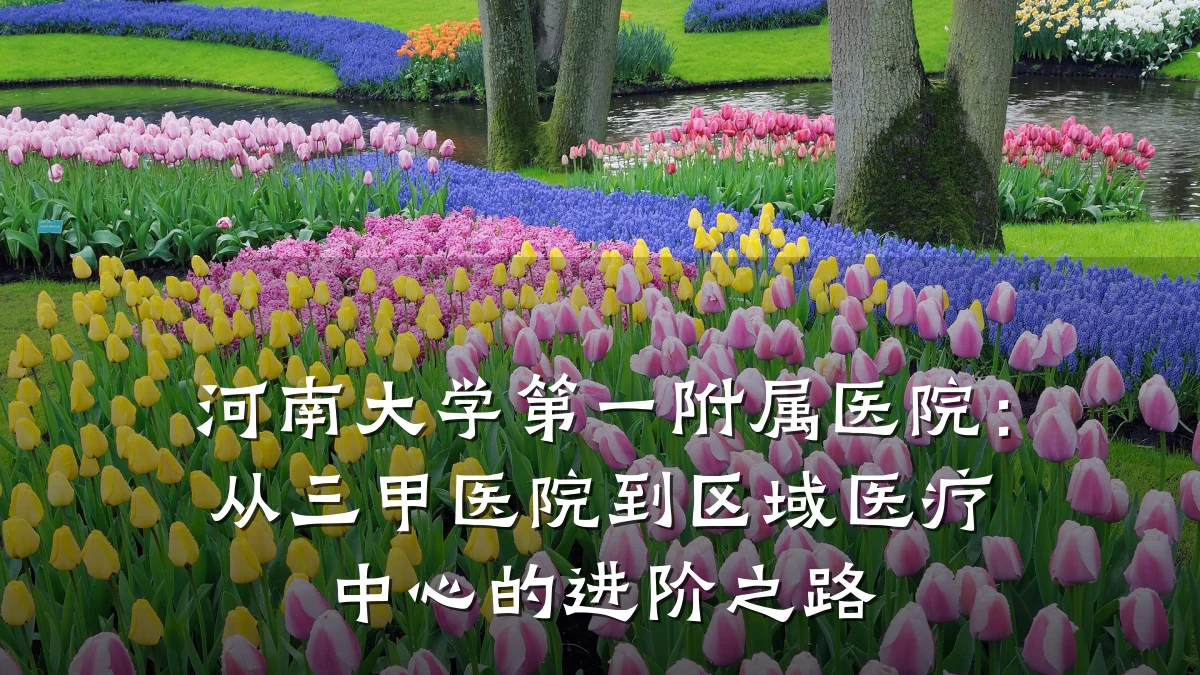 河南大学第一附属医院:从三甲医院到区域医疗中心的进阶之路