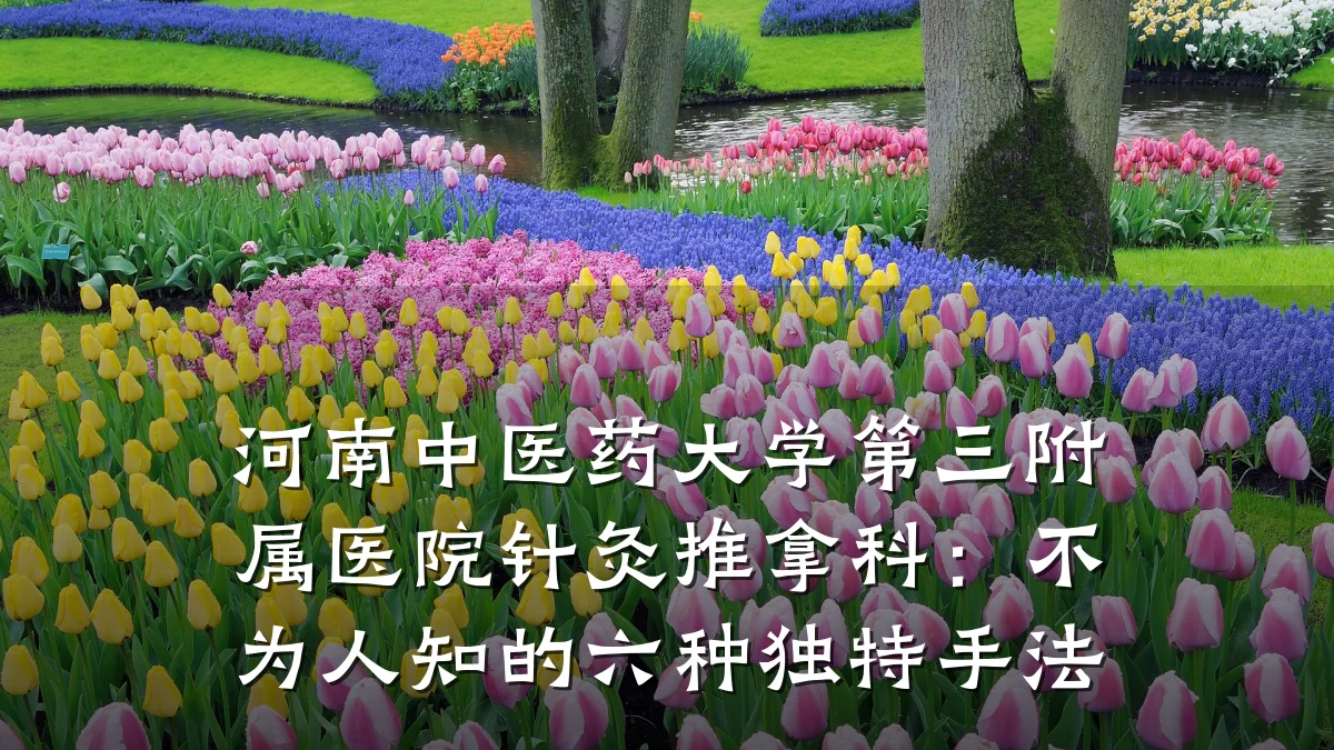 河南中医药大学第三附属医院针灸推拿科:不为人知的六种独特手法