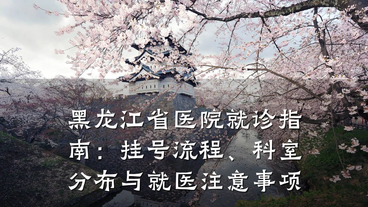 黑龙江省医院就诊指南：挂号流程、科室分布与就医注意事项