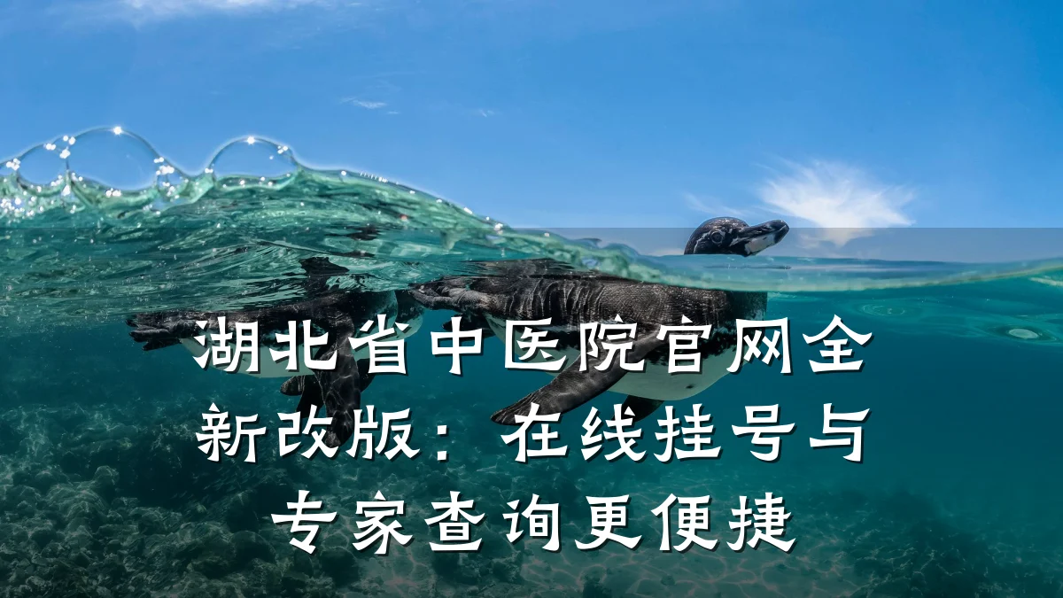 湖北省中医院官网全新改版：在线挂号与专家查询更便捷
