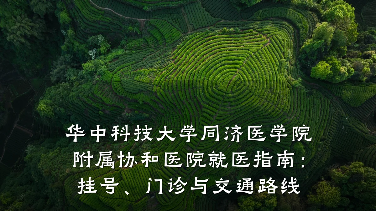 华中科技大学同济医学院附属协和医院就医指南：挂号、门诊与交通路线