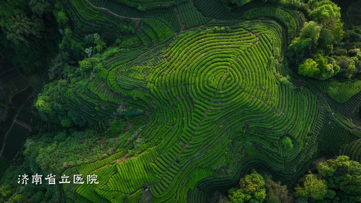 济南省立医院