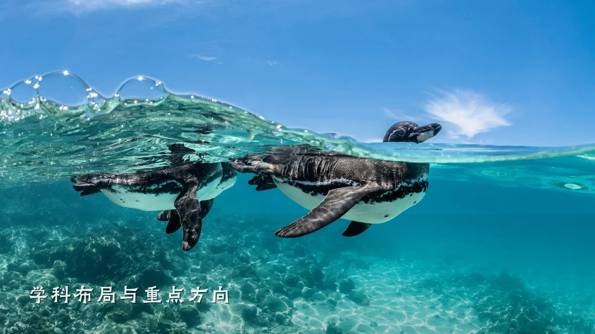 学科布局与重点方向