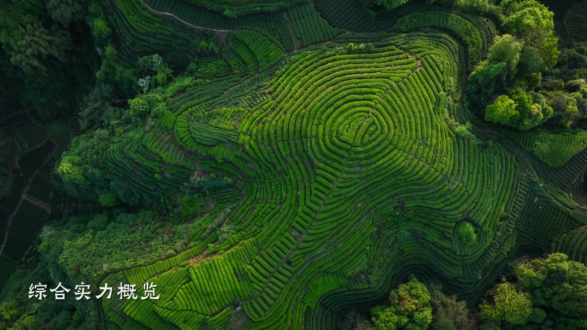 综合实力概览