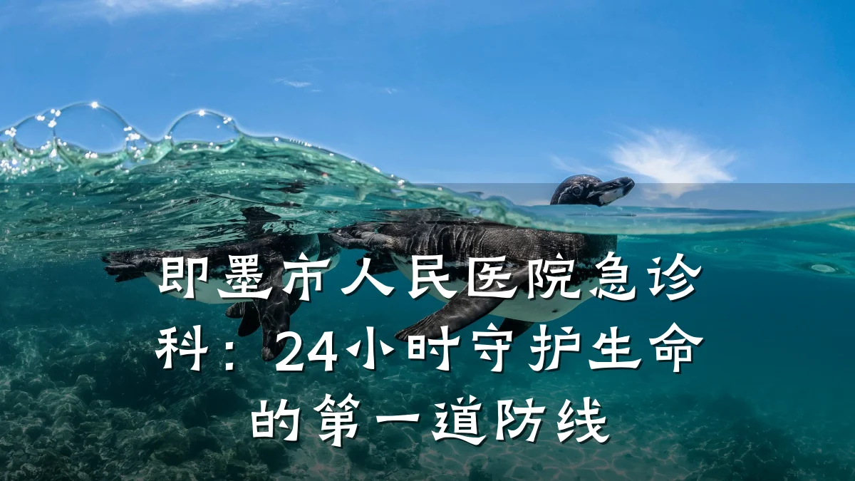 即墨市人民医院急诊科：24小时守护生命的第一道防线